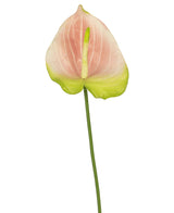 Une seule fleur artificielle d'Anthurium de 68 cm de couleur rose, avec une délicate fleur rose et verte sur une longue tige verte, se détache magnifiquement sur un fond blanc. Cette élégante fleur artificielle est idéale pour tous ceux qui recherchent des fleurs artificielles roses ou des fleurs en soie de haute qualité pour donner une dimension supplémentaire à leur intérieur.