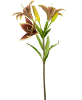 La Fleur Artificielle Lys Asiatique 66 cm vieux rose possède une tige unique avec trois fleurs de lys artificielles roses - deux en fleurs et une en bouton - avec des feuilles vertes, sur un fond blanc uni.