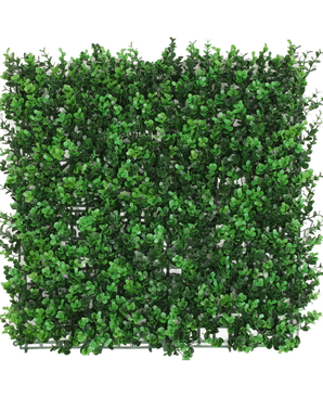 La Haie Artificielle Buis vert 50x50 cm UV est un panneau carré doté de denses feuilles de buis vert artificiel, créant une haie luxuriante, vue de dessus sur un fond blanc.