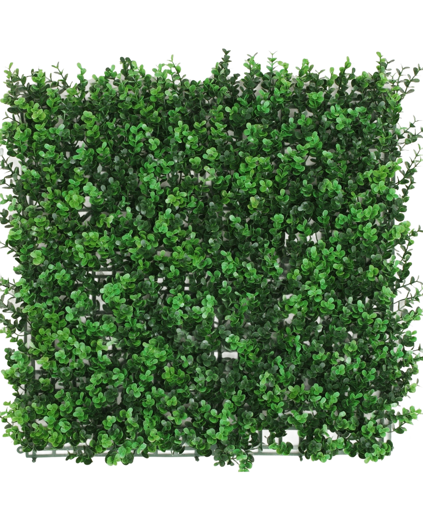 La Haie Artificielle Buis vert 50x50 cm UV est un panneau carré doté de denses feuilles de buis vert artificiel, créant une haie luxuriante, vue de dessus sur un fond blanc.