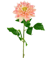 La Georgine artificielle Real Touch Jaune/rose 70 cm a une seule tige de dahlia artificielle avec des pétales jaunes et roses doux et plusieurs feuilles vertes, magnifiques sur un fond blanc uni.
