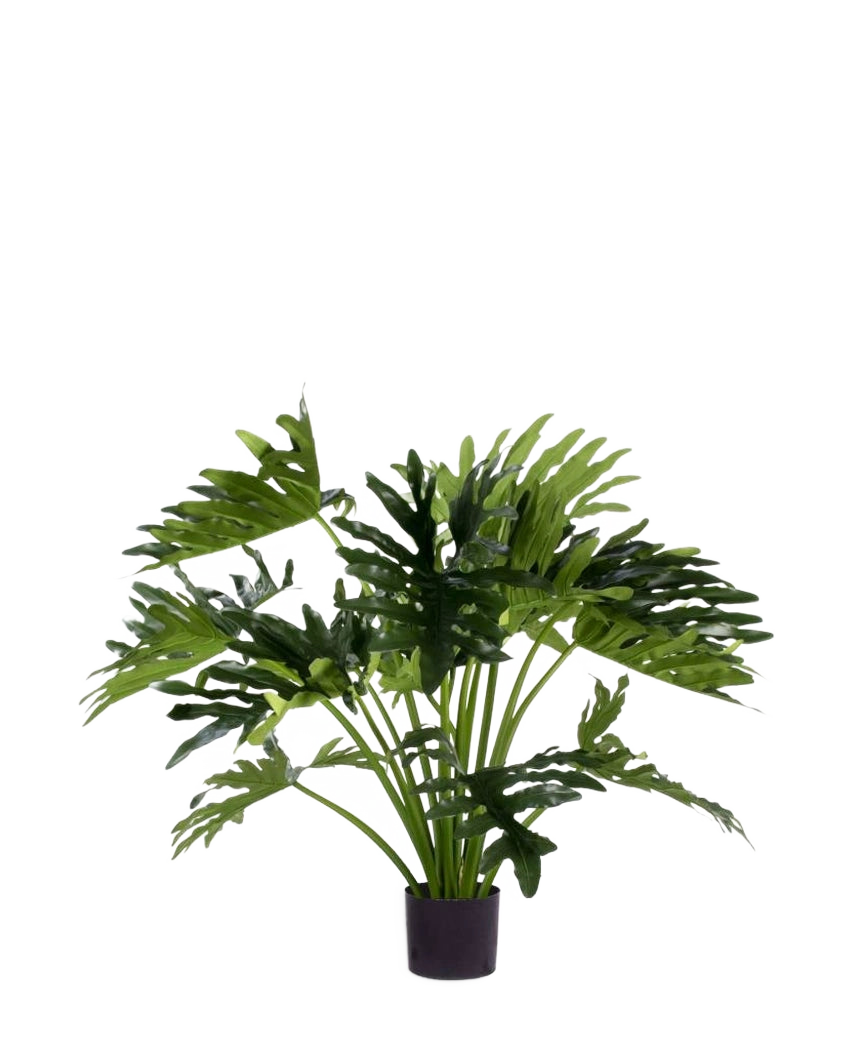 La Plante Artificielle Philodendron UV 90 cm a de grandes feuilles vertes profondément lobées dans un pot, parfaite comme plante d'intérieur nécessitant peu d'entretien pour ajouter de la verdure à l'intérieur. Sur un fond blanc il donne un style naturel sans entretien.