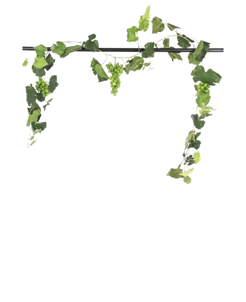 Une tige noire montre la guirlande de raisin artificiel ignifuge de 186 cm, avec des grappes de raisins verts et des feuilles luxuriantes, suspendues de manière décorative sur un fond blanc uni.