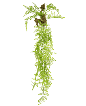 La plante artificielle suspendue Fern Mix Deluxe 100 cm a des feuilles de fougère vertes réalistes et des racines exposées avec des touffes de terre, qui pendent élégamment sur un fond blanc uni.