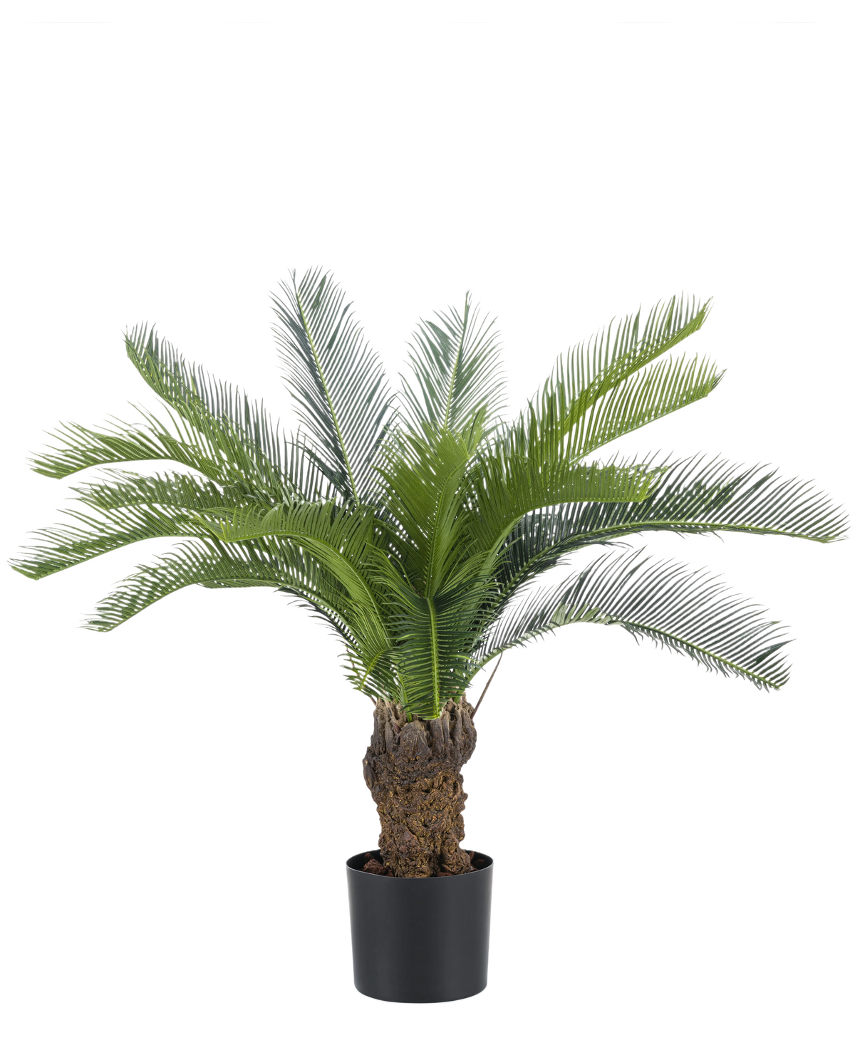 Le Palmier Cycas Artificiel 80 cm possède un long cycas vert courbé et un tronc épais et structuré. La plante est dans un simple pot noir sur un fond blanc uni.