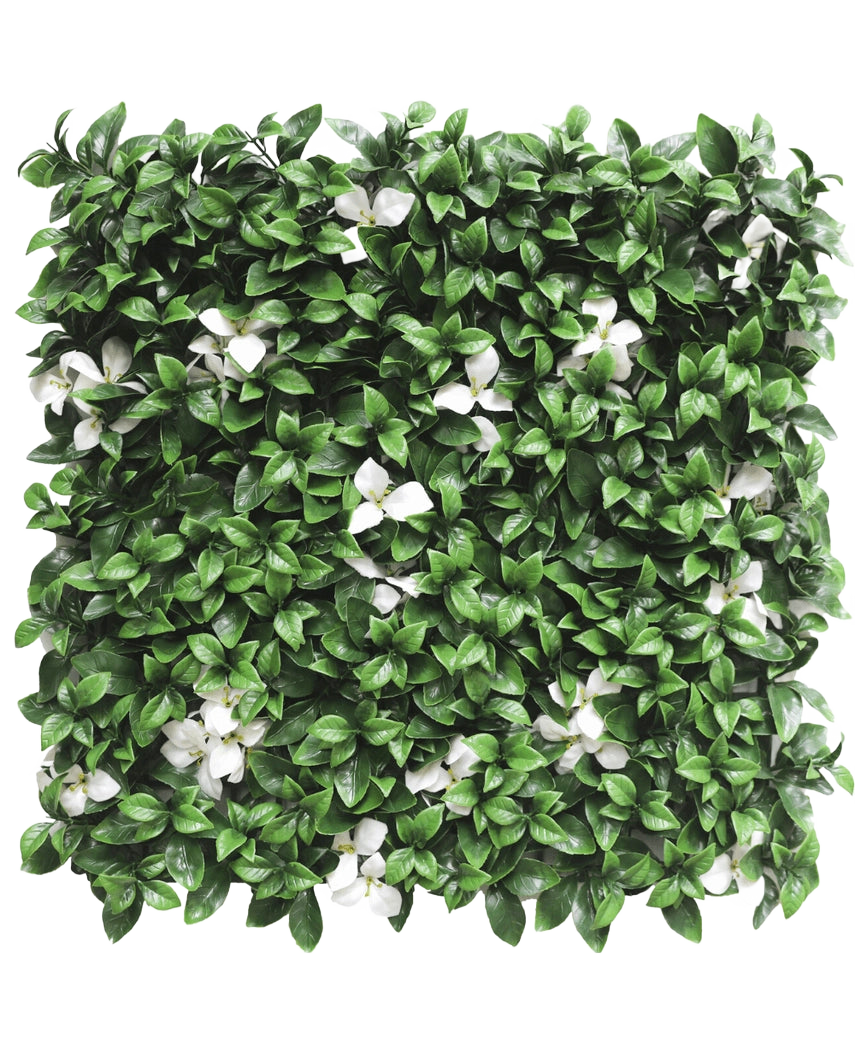 La Haie Artificielle Gardénia à fleur blanche 50x50 cm UV est un panneau carré aux feuilles vertes denses et aux fleurs blanches éparses sur fond blanc.