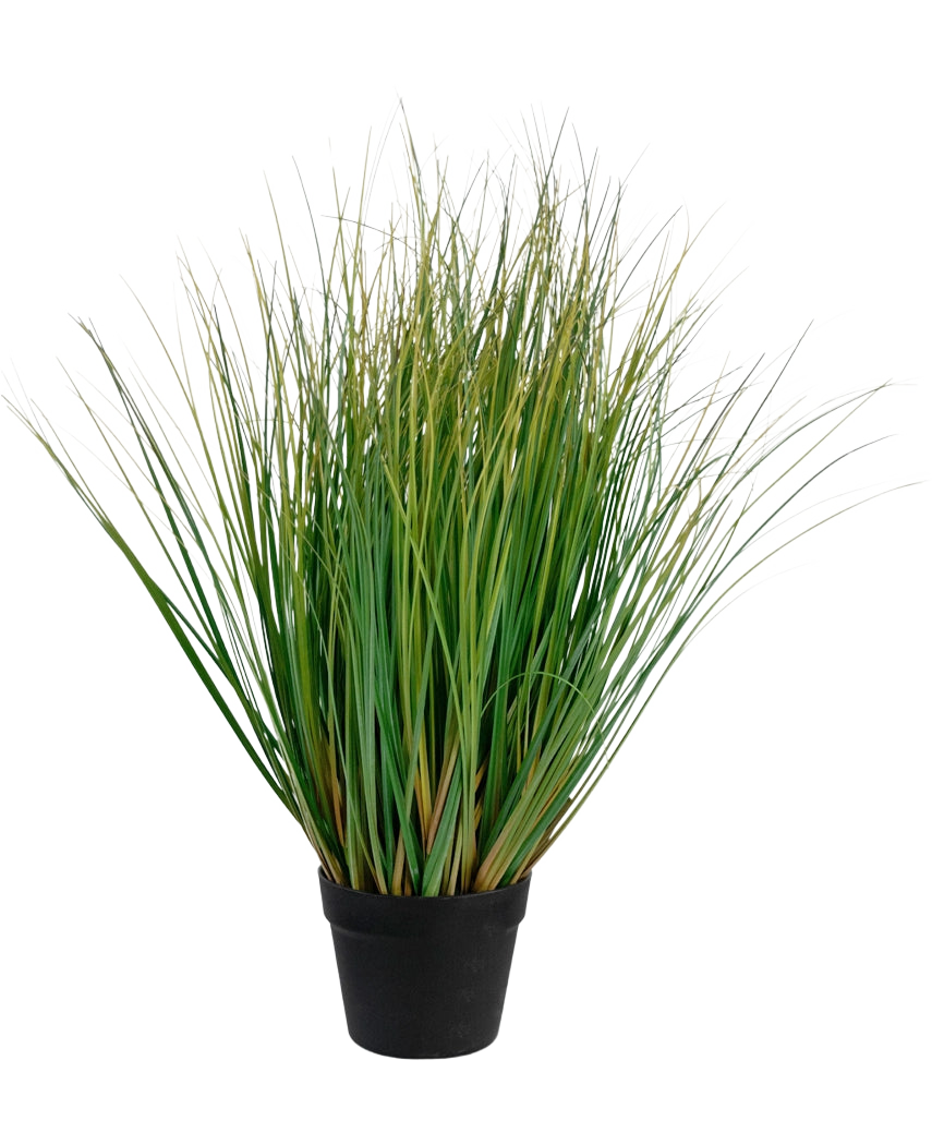 Le Bonsaï d'oignon et d'herbe artificielle avec pot est une plante de gazon artificiel ignifuge de 70 cm de haut avec de longues brins verts dans un pot noir, sur un fond blanc uni.