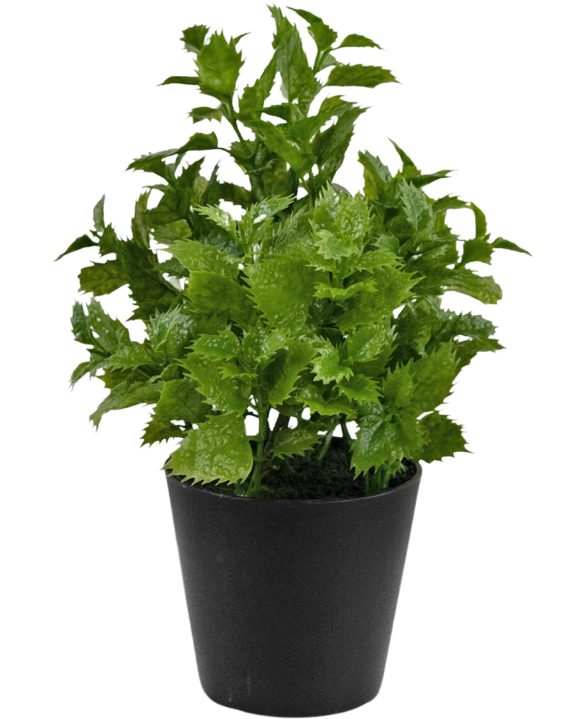 Plante artificielle Perilla 25 cm : Une plante au feuillage vert vif avec des bords dentelés dans un simple pot noir, parfaite pour ajouter une touche de nature à n'importe quelle pièce.