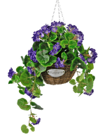 Le Bégonia artificiel violet en panier UV 70 cm est un panier suspendu en osier avec des feuilles vertes et des fleurs violettes vibrantes, suspendu à une chaîne argentée et muni d'une petite étiquette en métal avec le texte "Fleurs".