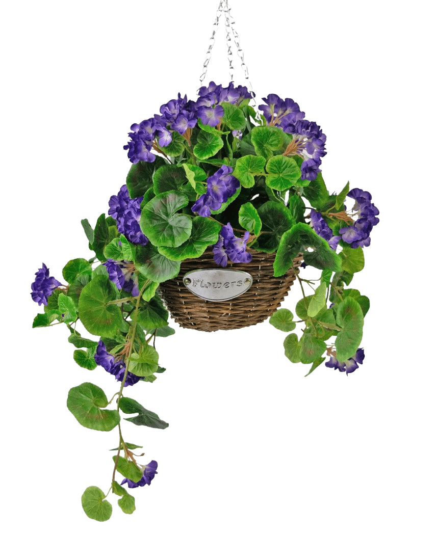Le Bégonia artificiel violet en panier UV 70 cm est un panier suspendu en osier avec des feuilles vertes et des fleurs violettes vibrantes, suspendu à une chaîne argentée et muni d'une petite étiquette en métal avec le texte "Fleurs".