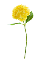 La Fleur Artificielle Charlotte Hortensia Real Touch Jaune 49 cm présente un seul hortensia jaune avec des feuilles vertes et une longue tige, sur un fond blanc uni.