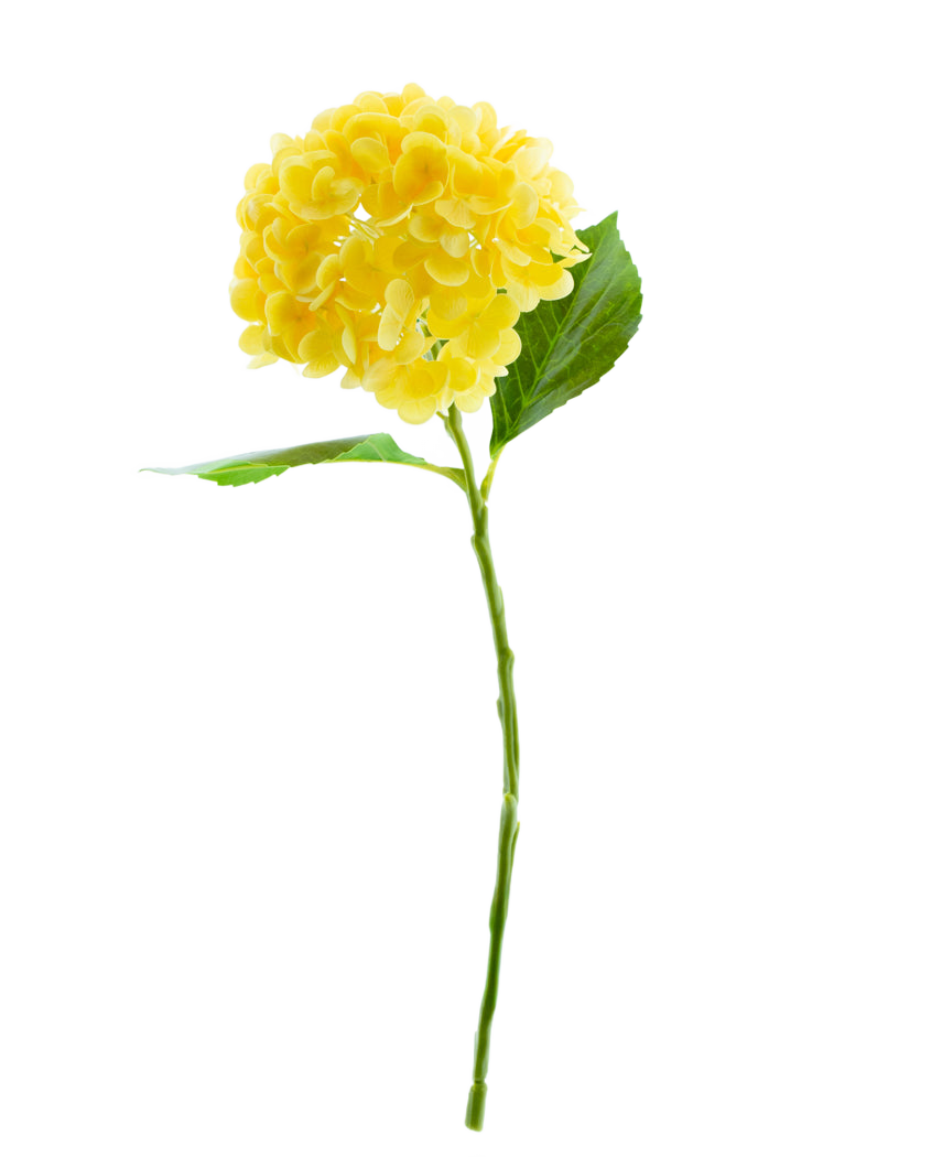 La Fleur Artificielle Charlotte Hortensia Real Touch Jaune 49 cm présente un seul hortensia jaune avec des feuilles vertes et une longue tige, sur un fond blanc uni.