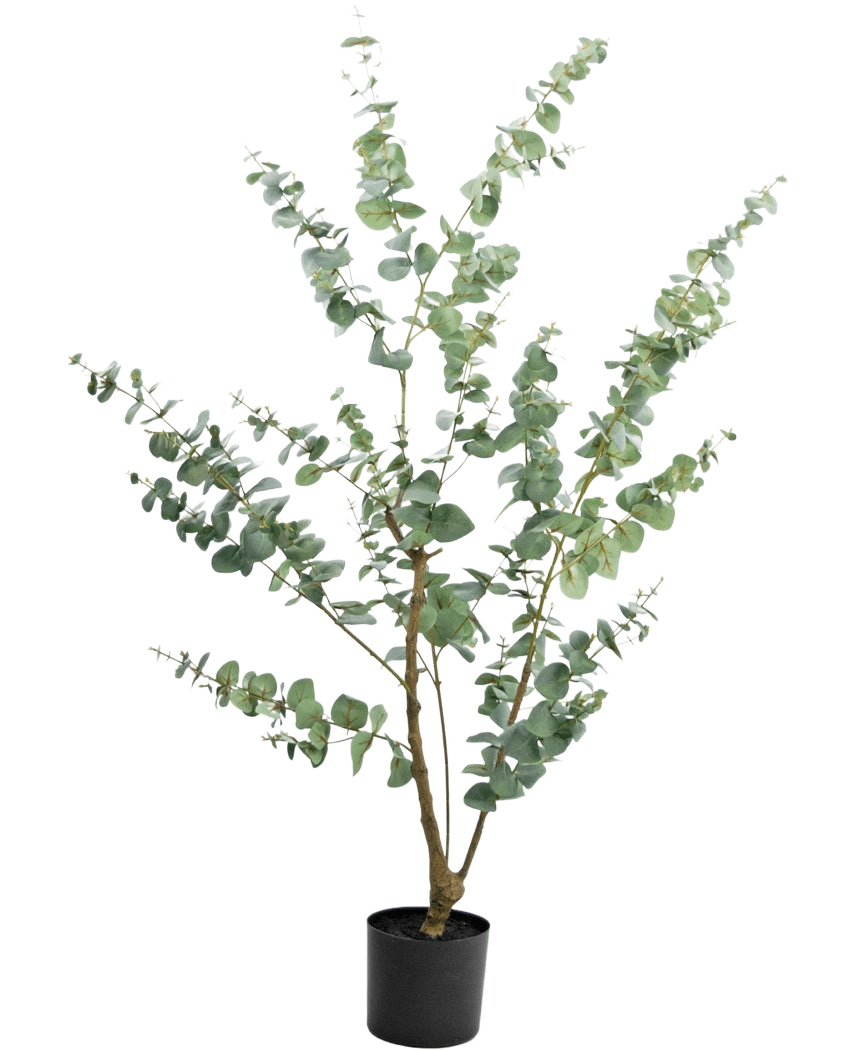 La Plante Artificielle Eucalyptus 150 cm est un grand eucalyptus artificiel en pot avec de longues branches fines et des feuilles rondes vert argenté, sur un fond uni blanc.
