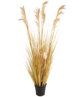 Le gazon artificiel Sorgho 130 cm ignifuge, avec ses fines feuilles jaune-vert et ses plumes brunes, souligne la dernière tendance vivante sur un fond blanc uni.