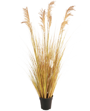 Le gazon artificiel Sorgho 130 cm ignifuge, avec ses fines feuilles jaune-vert et ses plumes brunes, souligne la dernière tendance vivante sur un fond blanc uni.