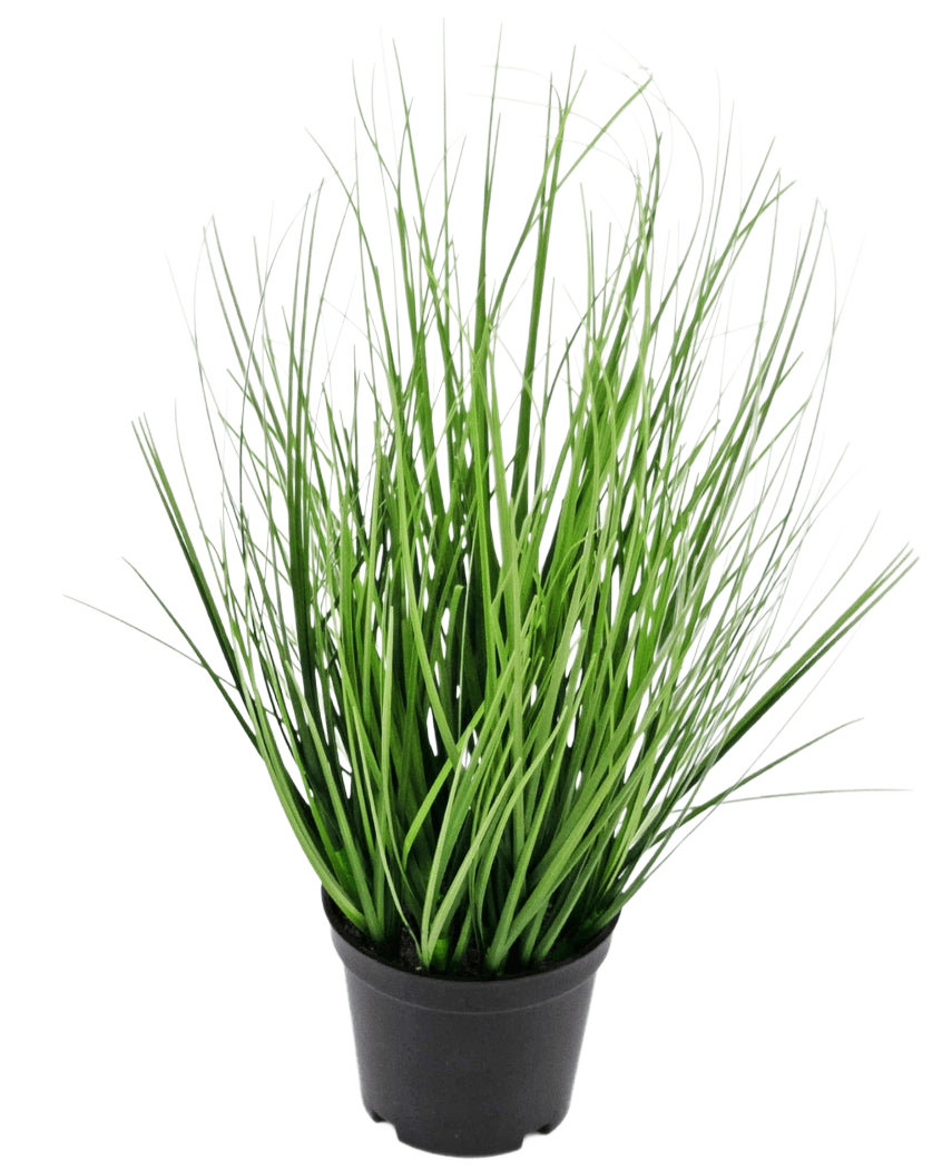 Le gazon artificiel Oignon 33 cm (ignifuge) a de longues feuilles fines ressemblant à de l'herbe verte dans un petit pot noir, sur un fond blanc uni.