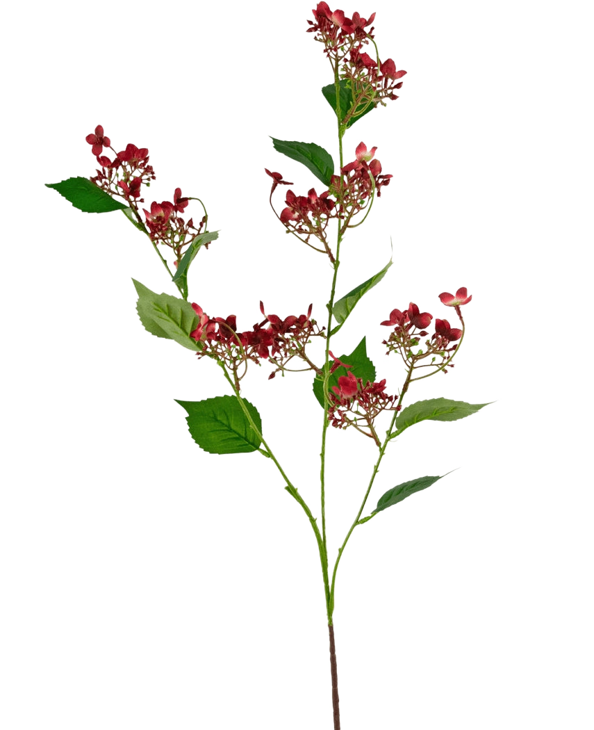 La fleur artificielle Hortensia sauvage 86 cm rouge a une tige haute avec des bouquets de petites fleurs rouge foncé et plusieurs feuilles vertes, représentées sur un fond blanc.