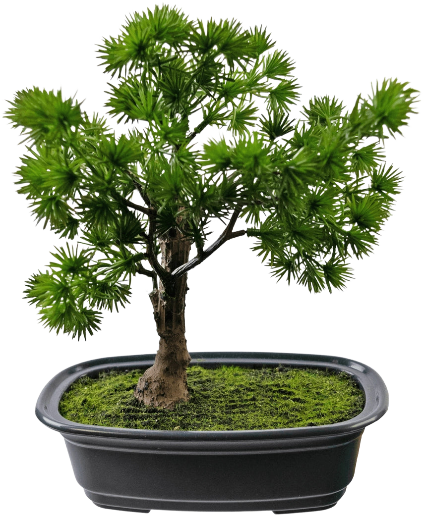 La Plante Artificielle Bonsaï Genévrier 20 cm a des feuilles vertes denses et épineuses dans un pot noir rectangulaire avec de la mousse, sur un fond blanc uni.