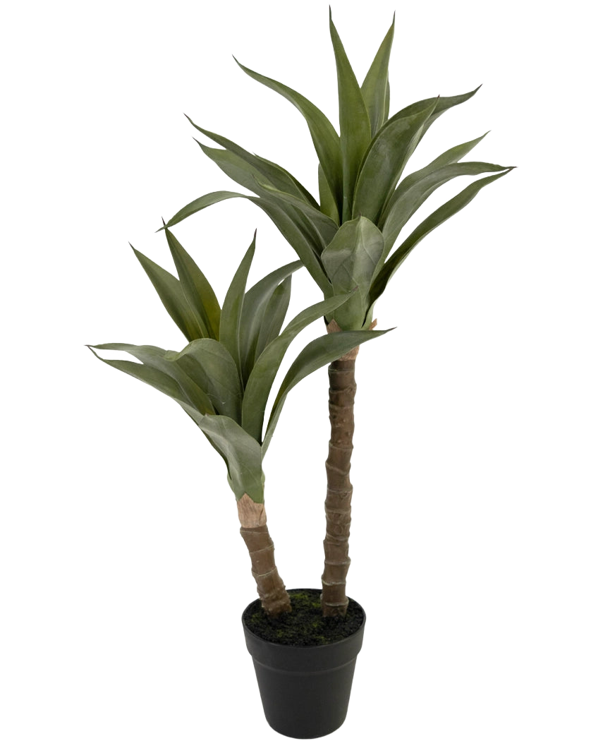 La Plante Artificielle Agave 76 cm possède deux tiges longues et épaisses avec des feuilles vertes pointues qui ressemblent à un agave, présentées dans un pot en plastique noir sur fond blanc uni.