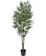 L'Olivier artificiel UV 180 cm est un faux olivier de grande taille aux branches fines et aux feuilles vertes, résistant aux UV, livré dans un simple pot noir et joliment mis en valeur sur un fond blanc.