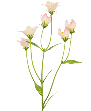 La fleur artificielle Aster 60 cm rose a une tige avec plusieurs fleurs rose clair en forme de cloche et des feuilles vertes. Les délicats pétales artificiels présentent des dégradés de couleurs subtils et des bords doux sur un fond blanc.