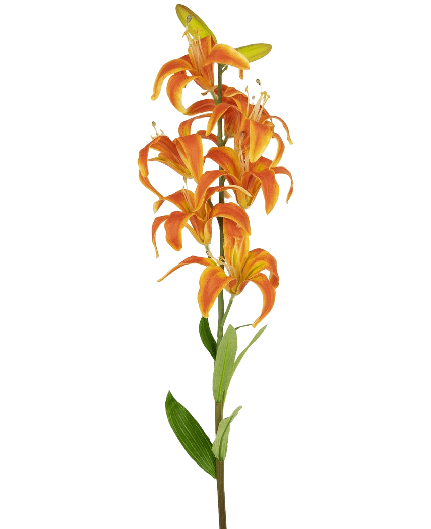 La fleur artificielle Lys Martagon 78 cm orange a une seule tige avec de multiples fleurs de lys orange vif et des feuilles vertes, sur un fond blanc uni.