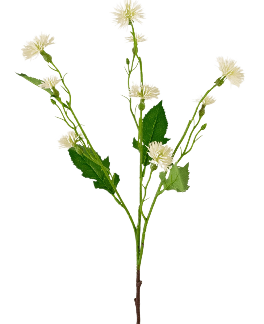 La fleur artificielle Daisy Spray 54 cm White Ray a une seule tige verte avec des bouquets ramifiés de petites fleurs blanches ressemblant à des marguerites et des feuilles vertes irrégulières, sur un fond blanc uni.