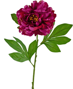 La Fleur Artificielle Pivoine 77 cm violette est une pivoine violette artificielle simple avec des pétales superposés et des feuilles vertes sur une longue tige, sur un fond blanc uni.