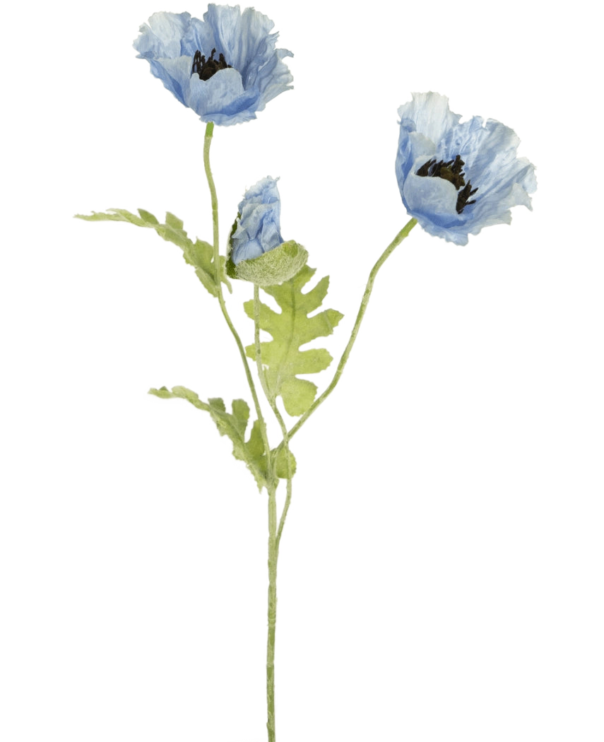 Illustration aquarelle de fleur de pavot artificielle 73 cm bleue avec deux fleurs de pavot bleues en fleurs et un bourgeon avec des tiges et des feuilles vertes sur fond blanc.