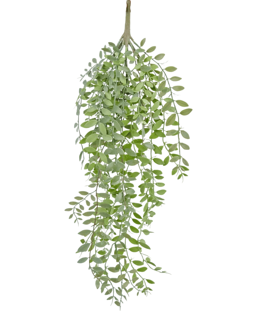 La plante artificielle suspendue Pumila/Eucalyptus 76 cm a des feuilles vertes étroites et des tiges fines qui tombent sur un fond blanc uni.