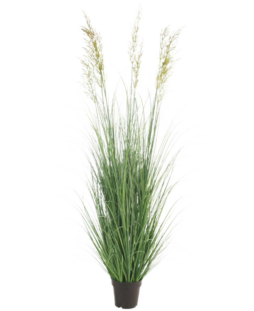 Le gazon artificiel de blé 180 cm ignifuge a de longues lames vertes fines et trois têtes de graines en forme de pointes dans un petit pot noir - idéal pour un jardin de luxe, totalement sans entretien et ignifuge. Affiché sur un fond blanc uni.