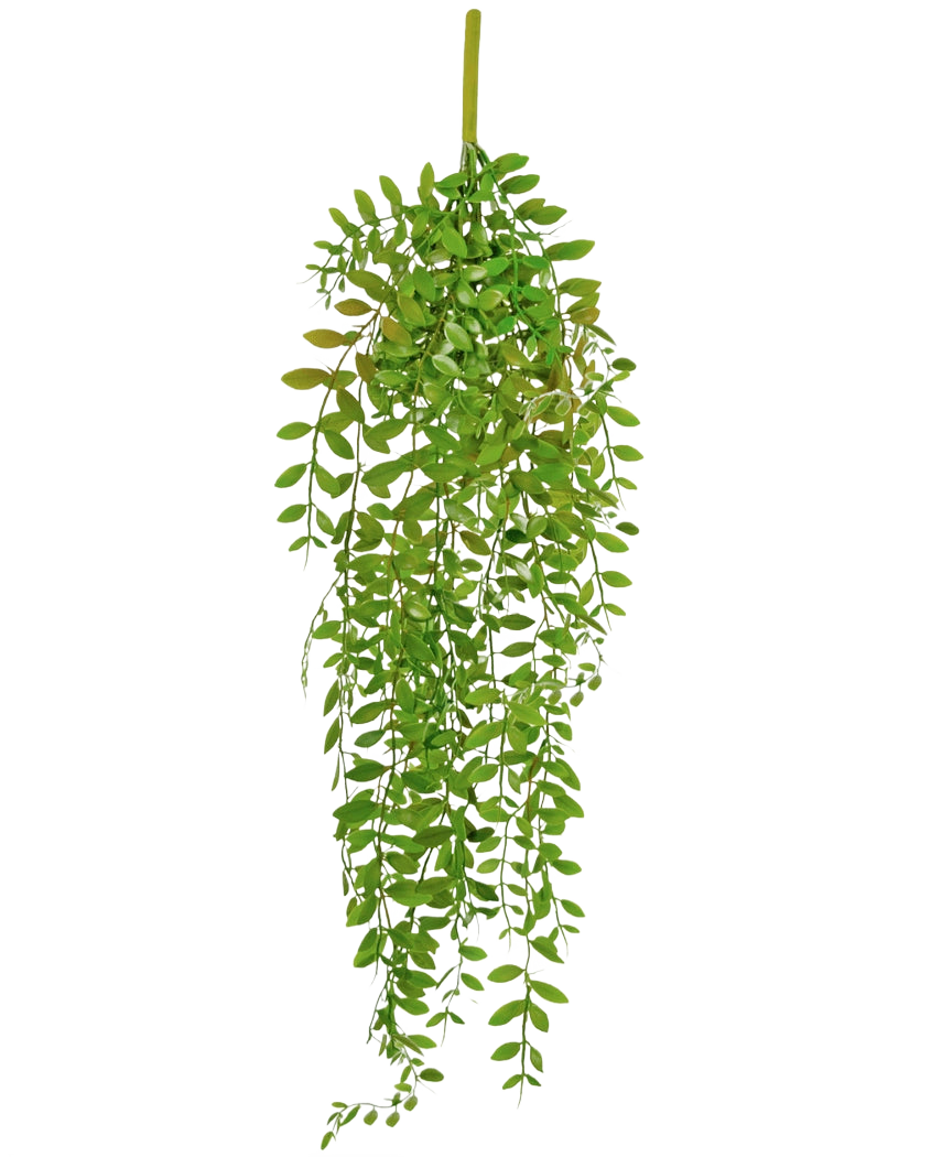 La plante artificielle suspendue Pumila 89 cm présente de petites feuilles vertes ovales sur plusieurs tiges pendantes, sur un fond blanc uni.