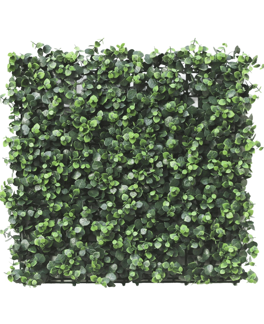 La haie artificielle Eucalyptus 50x50 cm UV est un panneau carré avec des feuilles d'eucalyptus artificielles denses, petites et rondes, densément emballées pour un aspect vibrant et naturel, parfait pour créer des jardins verticaux luxuriants ou des murs décoratifs à l'intérieur ou à l'extérieur.