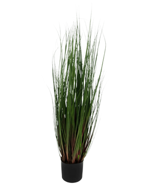 Le Gazon Artificiel Oignon 90 cm ignifuge est une graminée ornementale en pot aux longues et fines feuilles vertes teintées de rouge-violet à la base, sur un fond uni blanc.