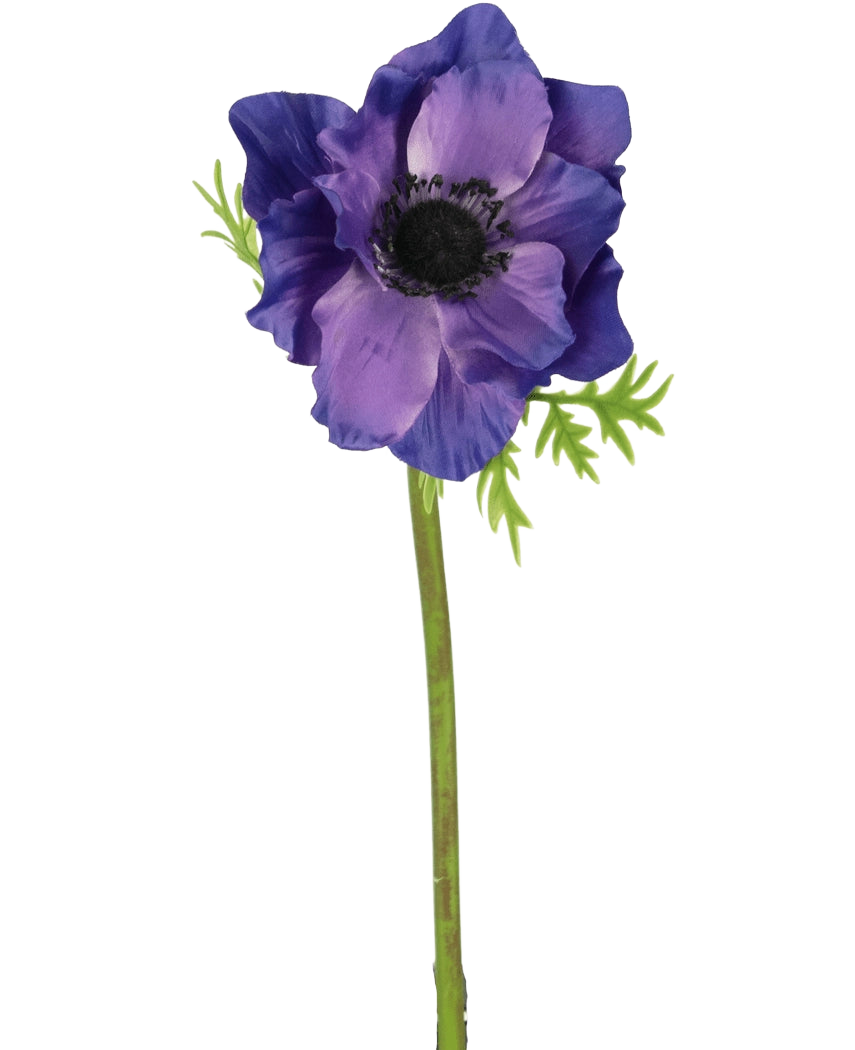 La fleur artificielle Anémone 43 cm violette a un cœur sombre, des feuilles vertes délicates et une longue tige verte, qui forment un contraste saisissant sur le fond blanc uni.