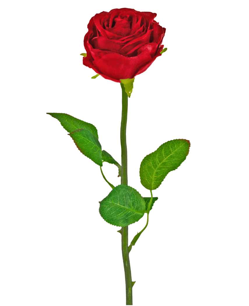 La Rose Artificielle Classique 54 cm rouge est une rose artificielle simple rouge avec une tige et des feuilles vertes, sur un fond blanc uni.