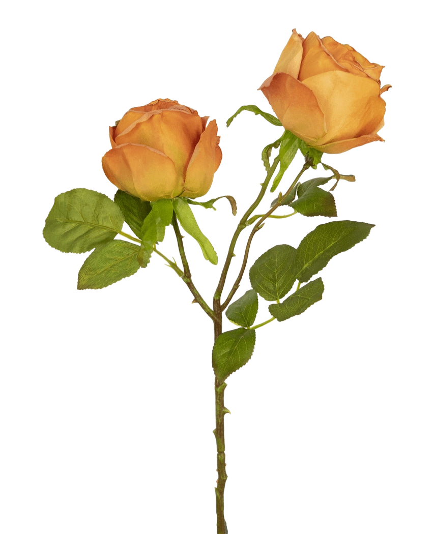La Rose Artificielle Deluxe 55 cm pêche possède deux roses artificielles de couleur pêche sur une tige avec des feuilles vertes, idéales pour la décoration florale ou comme élégantes fleurs artificielles en soie.