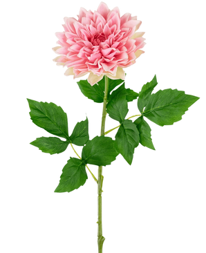 Le Kunst Georgine Real Touch Pink 70 cm présente un seul dahlia rose avec des pétales superposés, une longue tige verte et plusieurs feuilles, sur un fond blanc uni.
