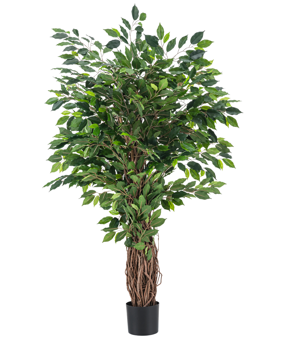 La Plante Artificielle Ficus Tropical Liana 150 cm est un grand arbre artificiel au tronc tressé et aux feuilles vertes denses, présenté dans un petit pot noir sur un fond uni blanc.