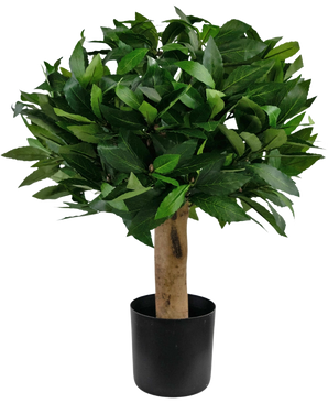La plante Laurier Artificiel UV d30 cm est un arbre artificiel compact aux feuilles vertes denses et au tronc brun épais, dans un pot simple noir, sur un fond uni blanc.