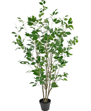 La Plante Artificielle Ficus 150 cm est un arbre artificiel en pot avec de multiples troncs bruns élancés et des feuilles vertes luxuriantes sur un fond blanc uni.