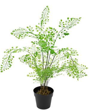 La Fougère Plante Artificielle 35 cm est une fougère artificielle avec des feuilles vert vif en forme d'éventail sur de fines tiges noires, sur un fond blanc uni.