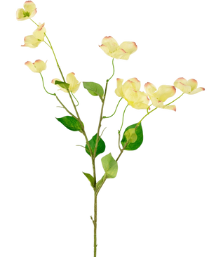 Le Cornouiller Artificiel Real Touch Jaune Clair 74 cm a une seule tige avec des feuilles vertes et plusieurs fleurs de cornouiller jaune clair avec des pétales à pointe rose, sur un fond blanc uni.