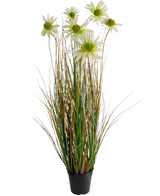 Le Gazon Artificiel Chrysanthème Oignon Pot 90cm ignifuge est une plante artificielle en pot avec de longues feuilles vertes et brunes ressemblant à de l'herbe, surmontées de fleurs de marguerites blanches au cœur jaune.