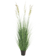 Le gazon artificiel blé 150 cm ignifuge est une plante haute sans entretien avec de fines feuilles vertes et des panaches dans un pot - idéale comme décoration de jardin, représentée sur un fond blanc uni.