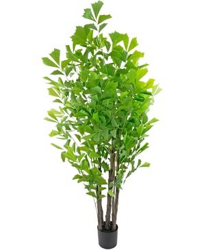 Le palmier queue de poisson artificiel 210 cm est une grande plante artificielle en pot avec de multiples tiges brunes et des feuilles vertes luxuriantes, présentée dans un petit pot noir sur fond blanc.