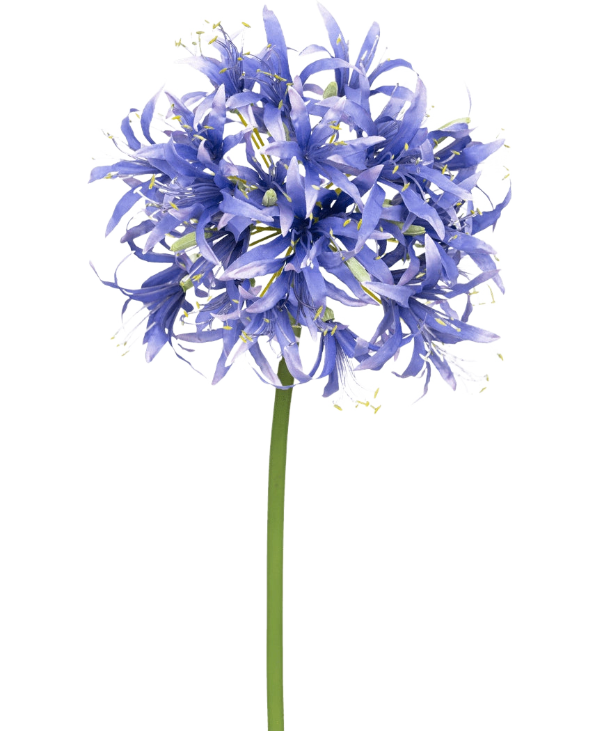 Une fleur artificielle Nerine de 70 cm violette avec de nombreuses petites fleurs violettes en forme d'étoile regroupées en grappe sphérique sur une longue tige verte, sur un fond blanc uni.