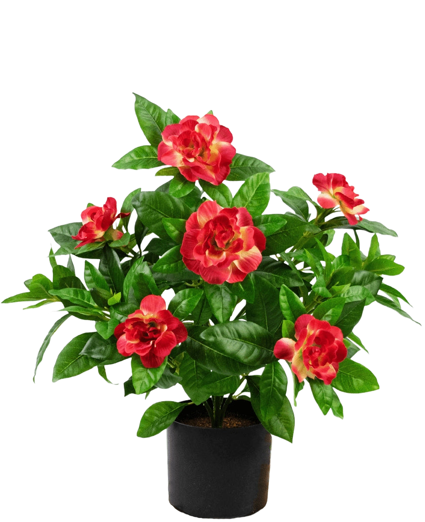 Plante artificielle Gardenia 39 cm fuchsia