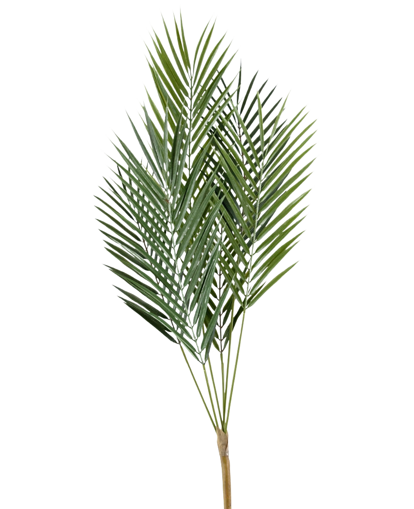 Le palmier artificiel Chamaedorea 78 cm possède de longues et fines feuilles de palmier vertes aux extrémités pointues sur plusieurs tiges fines, sur un fond blanc uni.