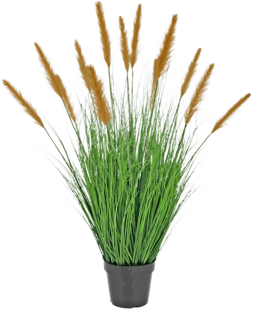 Le gazon artificiel d'autruche de 100 cm ignifuge se présente dans un pot noir avec de hautes feuilles ressemblant à de l'herbe et de longues plumes brunes, qui ajoutent une décoration verte sur un fond blanc uni.